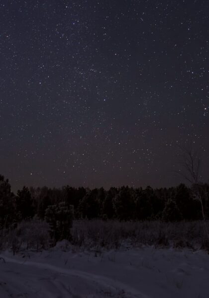 http://Beautiful%20night%20landscape%20with%20a%20winter%20forest,%20firs,%20snowy%20road%20and%20starry%20sky