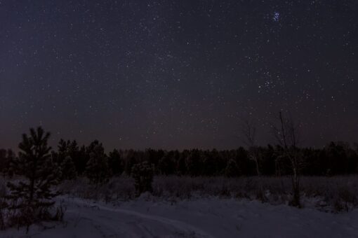 Beautiful night landscape with a winter forest, firs, snowy road and starry sky